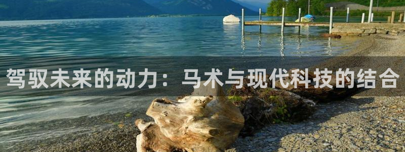 3377体育官网下载招商电话是多少号码：驾驭未来的动