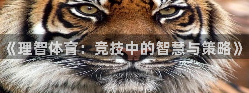 3377体育官网下载注册：《理智体育：竞技中的智慧与