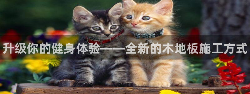 3377体育官网下载招商电话是多少：升级你的健身体验