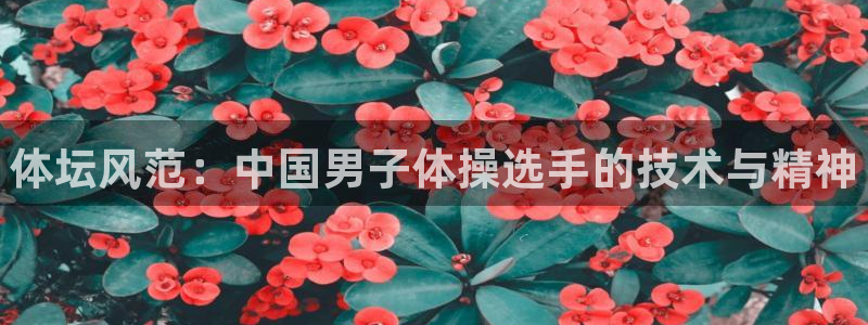 3377体育官方正版app娱乐40996：体坛风范：