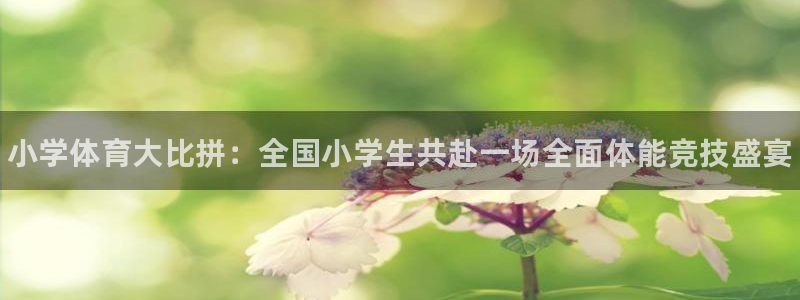3377体育官方正版app娱乐：小学体育大比拼：全国