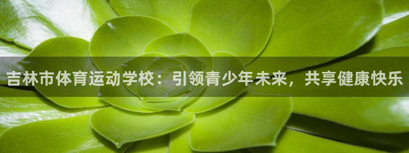 3377体育官网下载平台是正规平台吗安全吗：吉林市体