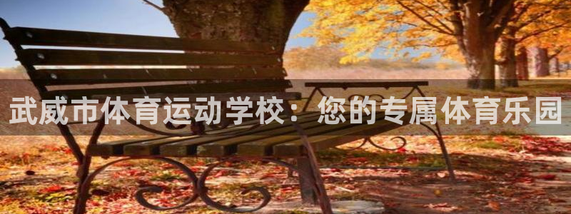 3377体育官方正版app集团官网网址：武威市体育运