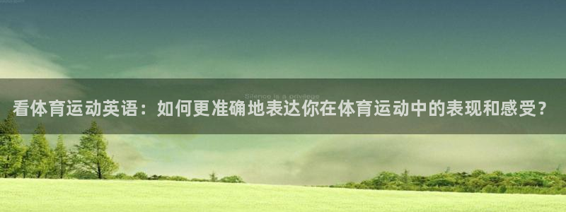 3377体育官网下载招商电话号码查询：看体育运动英语