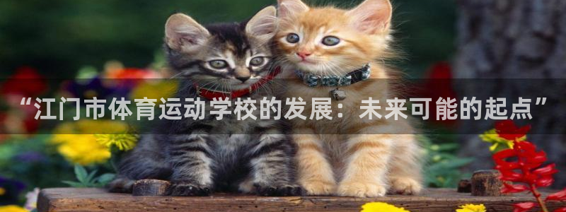 3377体育官方正版app集团简介：“江门市体育运动学校的发