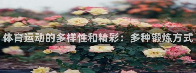 3377体育官网下载：体育运动的多样性和精彩：多种锻