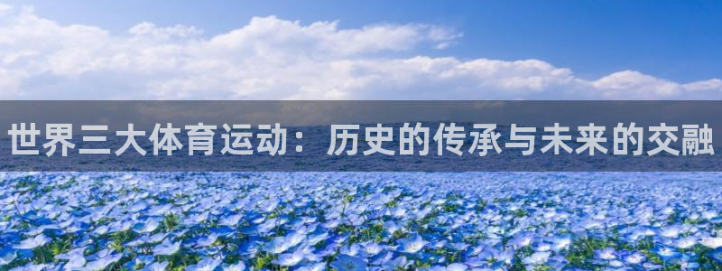 3377体育官网下载招商电话号码查询是多少：世界三大体育运动
