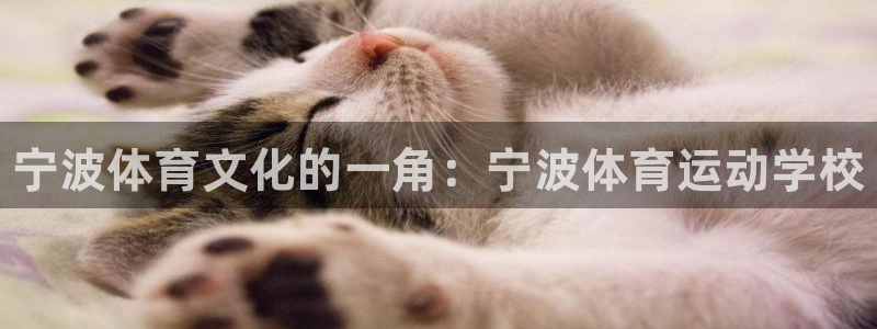 3377体育官网下载平台假的吗是真的吗吗：宁波体育文化的一角
