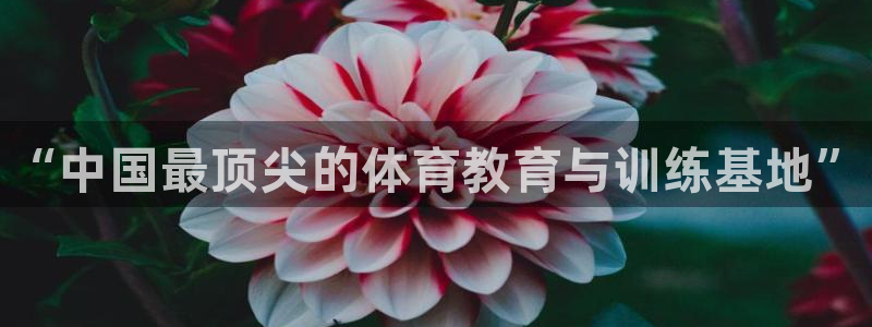 3377体育官方集团官网