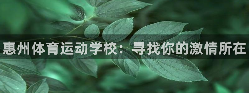 3377体育官网下载平台注册流程图：惠州体育运动学校：寻找你