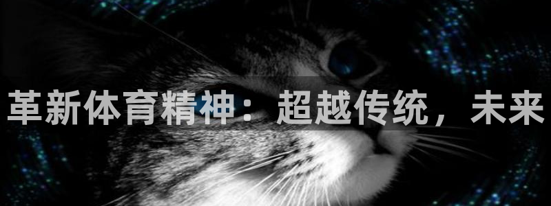 3377体育官方正版app集团E.ON：革新体育精神：超越传