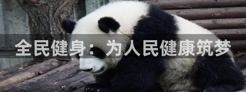 3377体育官方正版app集团logo：全民健身：为人民健康