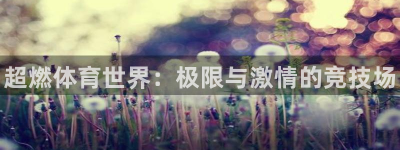 3377体育官网下载招商电话地址是多少：超燃体育世界