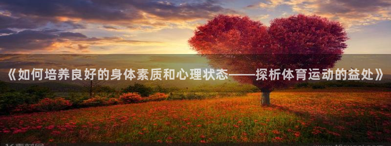 3377体育官方正版app神州