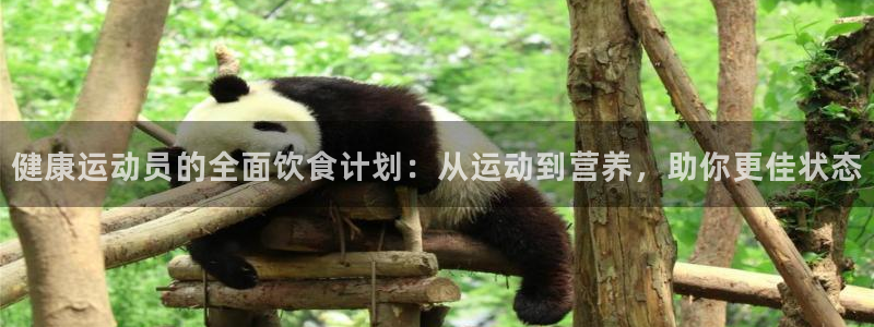 3377体育官方正版app集团logo：健康运动员的全面饮食