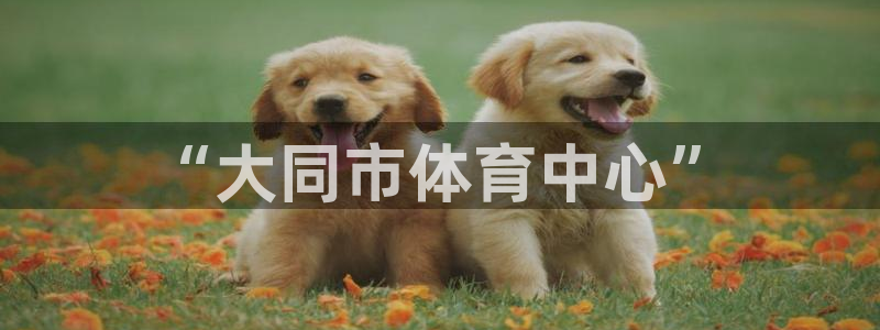 3377体育官网下载招商电话：“大同市体育中心”