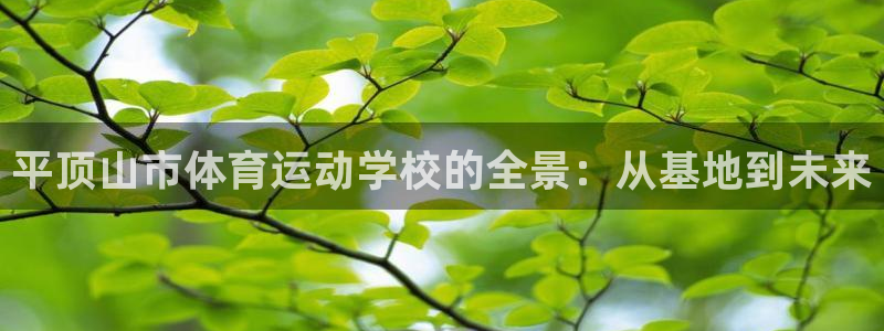 3377体育官网下载招商电话号码是多少号