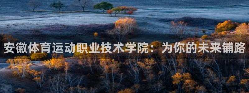 3377体育官网下载招商电话地址是多少：安徽体育运动职业技术