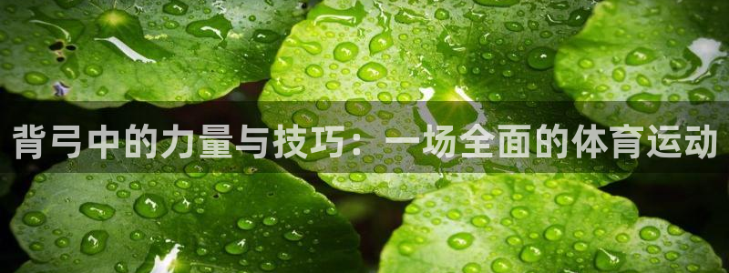 3377体育官网下载娱乐：背弓中的力量与技巧：一场全