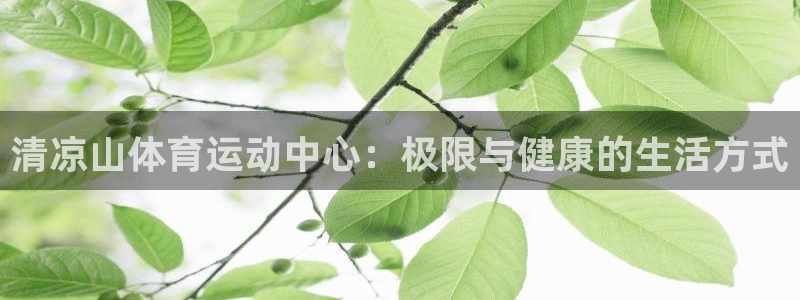 3377体育官方正版app娱乐是那个系列的台子：清凉