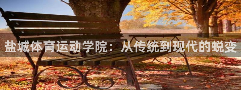 3377体育官方正版app集团官网首页网址：盐城体育