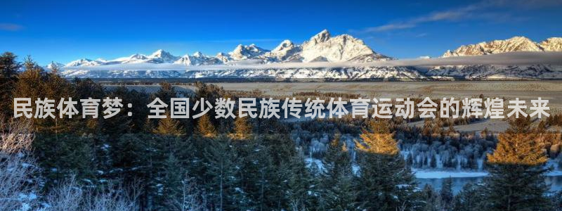 3377体育官网下载是干嘛的公司：民族体育梦：全国少