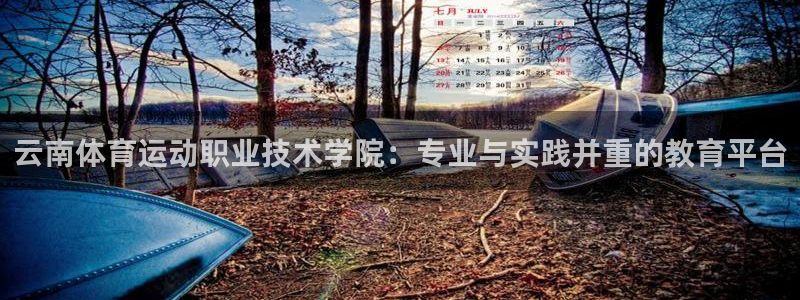 3377体育官网下载联系电话