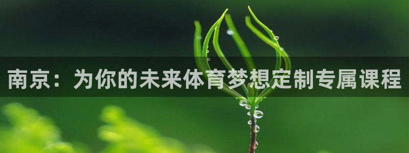 3377体育官方正版app开户
