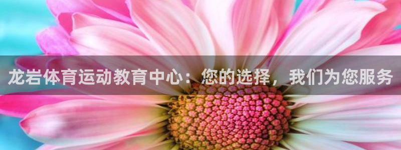 3377体育官网下载招商电话地址