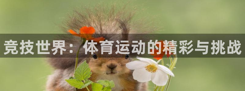 注册3377体育官方正版app：竞技世界：体育运动的精彩与挑