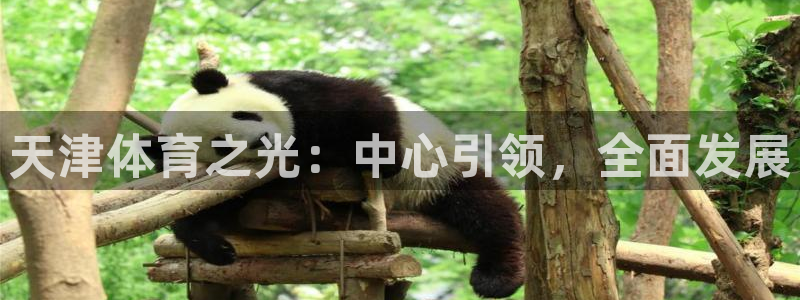 3377体育官网下载平台注册：天津体育之光：中心引领