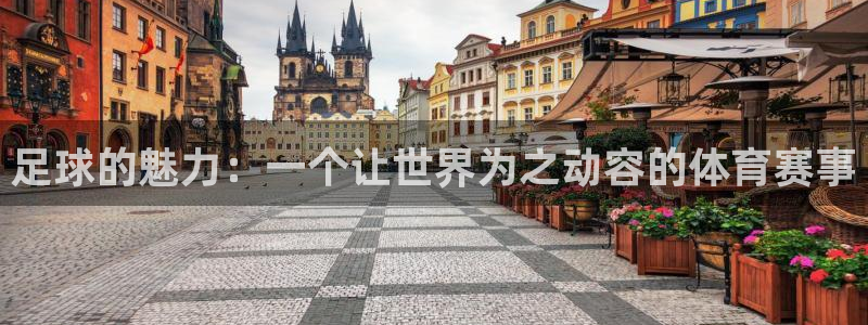 3377体育官网下载平台注册要钱吗：足球的魅力：一个