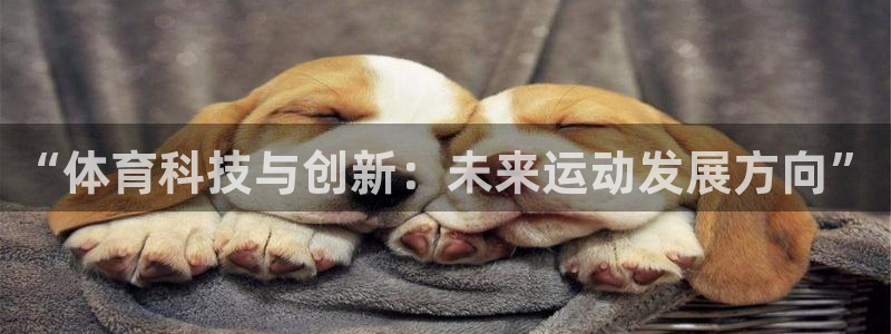 3377体育官网下载娱乐