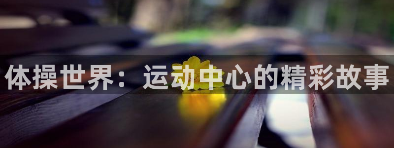 3377体育官网下载招商电话地址是多少