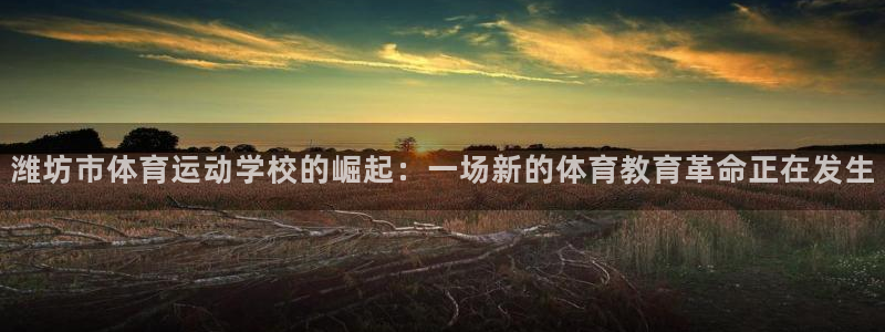 3377体育官网下载招商电话地址：潍坊市体育运动学校的崛起：