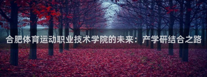 3377体育官方正版app神州：合肥体育运动职业技术学院的未