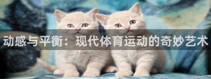 海南3377体育官网下载发展怎么样：动感与平衡：现代体育运动