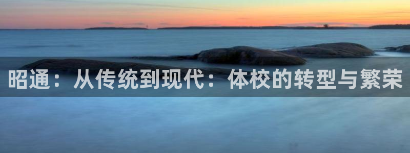 海南3377体育官网下载