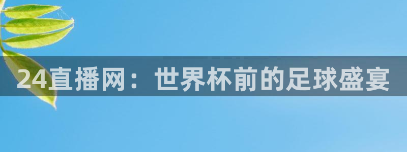 斗球在线直播观看nba：24直播网：世界杯前的足球盛宴
