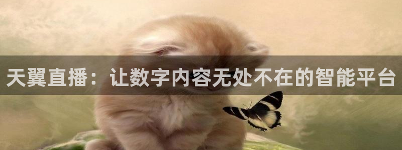 斗球app免费观看：天翼直播：让数字内容无处不在的智能平台
