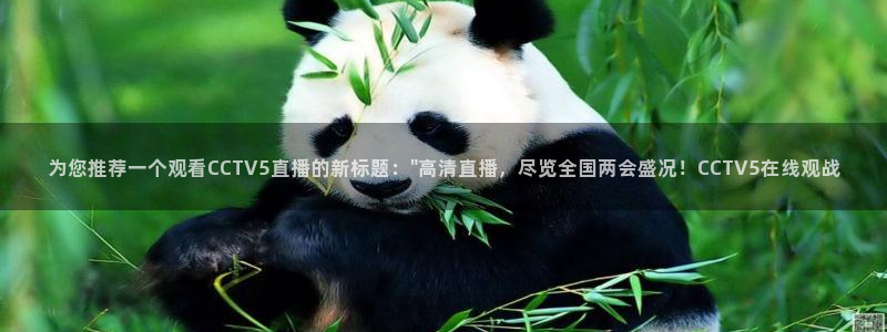 斗球直播网站：为您推荐一个观看CCTV5直播的新标题：\