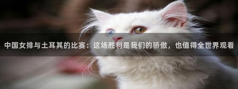 斗球体育直播下载：中国女排与土耳其的比赛：这场胜利是我们的骄傲，也值得全世界观看