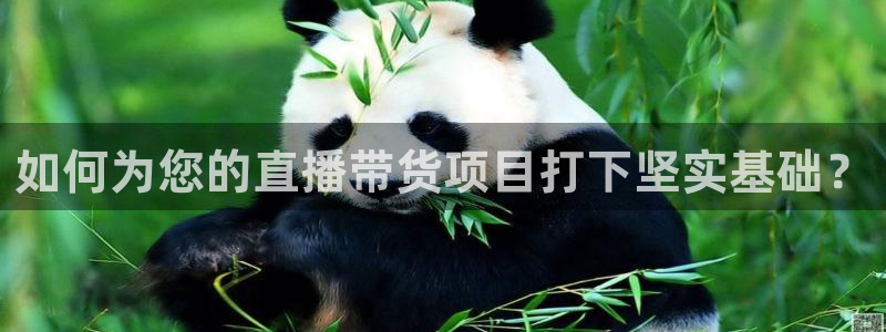 斗球直播app下载官网：如何为您的直播带货项目打下坚实基础？