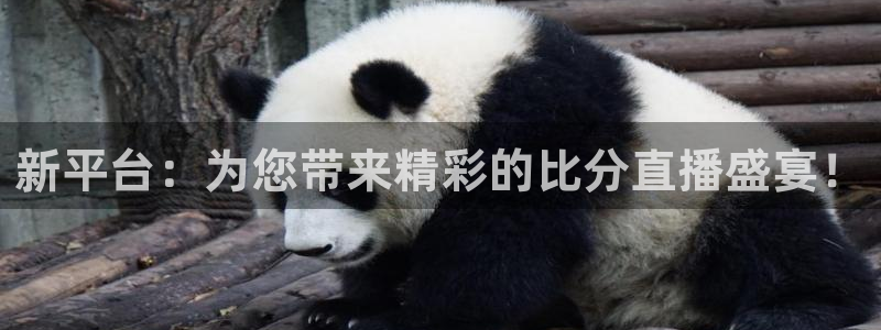 斗球体育app下载安装：新平台：为您带来精彩的比分直播盛宴！